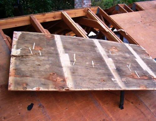 Roofing and Attic Mold