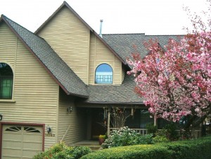Pitched Roofs in Beaverton